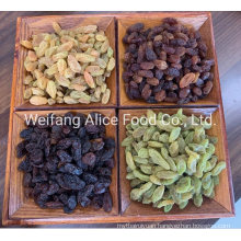 China Bulk and Cheap Jumbo Size Green Raisins From Xinjiang